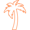 Under a palm tree